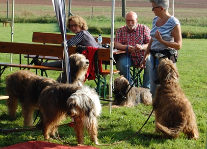 Viele Hunde bei der Zuchtzulassung in Mechernich